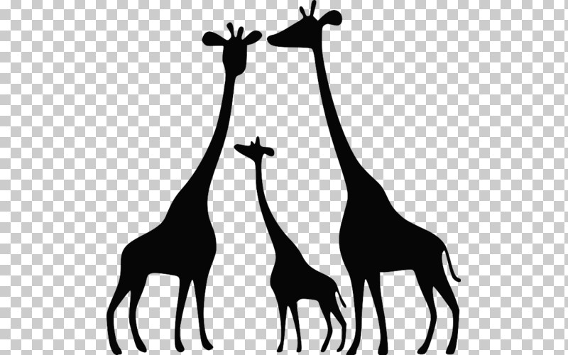 Giraffe Giraffidae Wildlife Black-and-white Adaptation PNG, Clipart, Adaptation, Blackandwhite, Giraffe, Giraffidae, Silhouette Free PNG Download