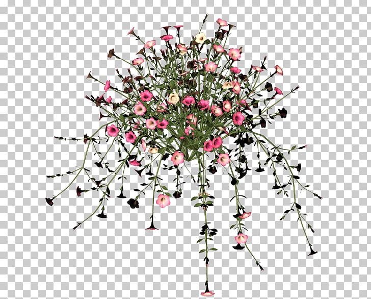 Cut Flowers Blume Floral Design Photography PNG, Clipart, Albom, Blog, Blossom, Blume, Blumen Free PNG Download