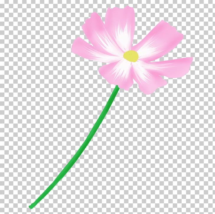 Pink Blue Red Petal Yellow PNG, Clipart, Blue, Cosmos Pharmaceutical Corporation, Cut Flowers, Flora, Flower Free PNG Download