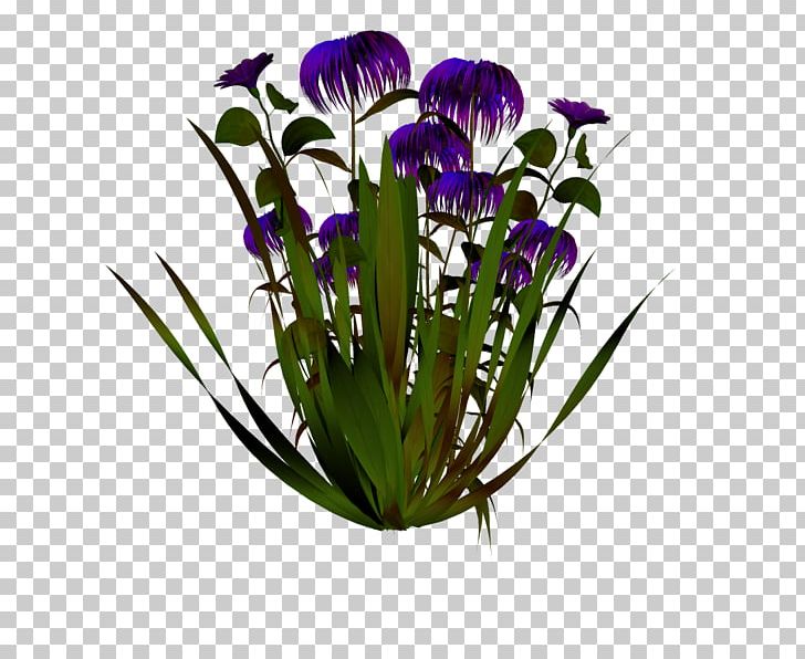 Cut Flowers Flowerpot Flowering Plant PNG, Clipart, Cicek, Cicek Resimleri, Cut Flowers, Flower, Flowering Plant Free PNG Download