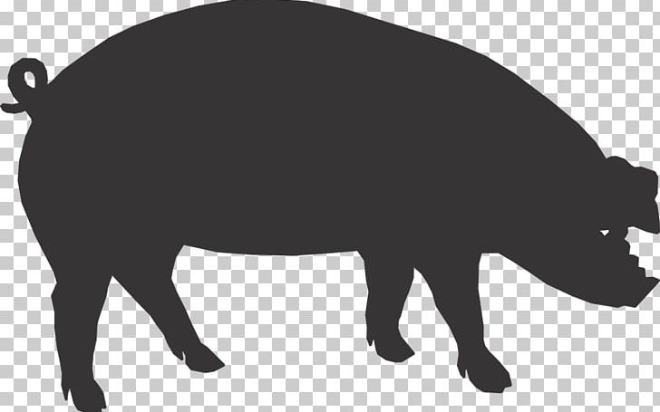 Pig Roast Cattle Farmer PNG, Clipart, Agricultural Show, Agriculture, American Bison, Barbecue, Bison Free PNG Download