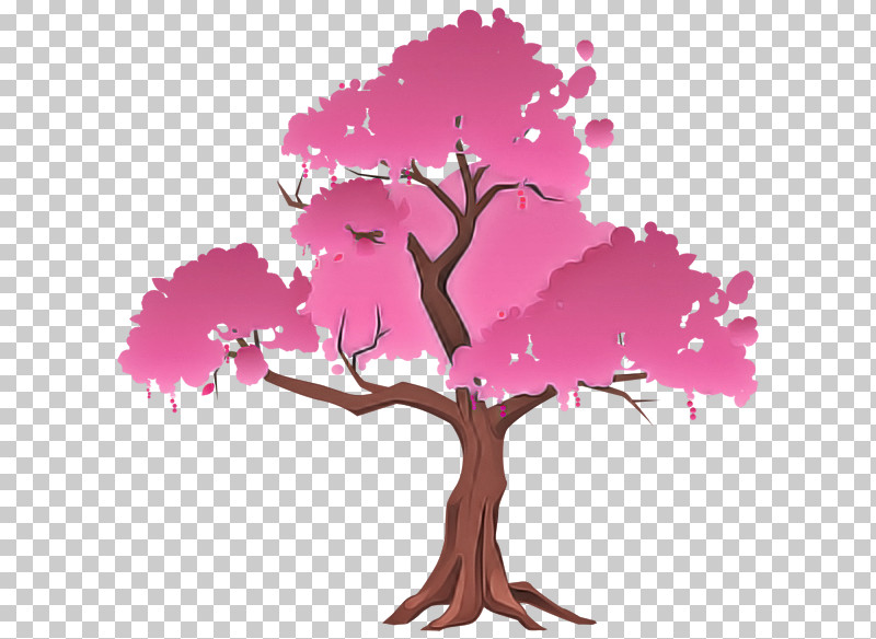 Tree Pink Plant Woody Plant Branch PNG, Clipart, Blossom, Branch, Magenta, Pink, Plant Free PNG Download