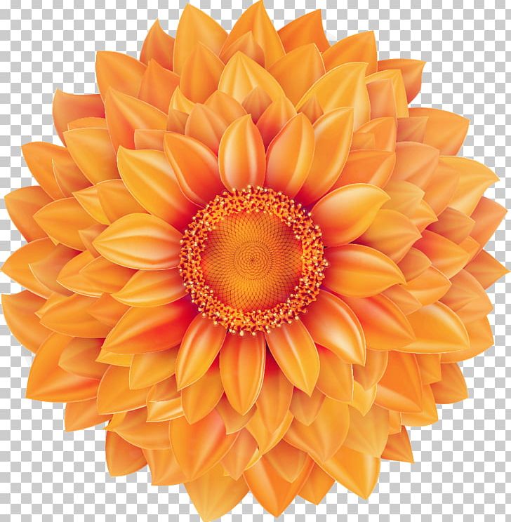 Common Sunflower Mexican Marigold PNG, Clipart, Adobe Illustrator, Creative Ads, Creative Artwork, Creative Background, Creative Logo Design Free PNG Download