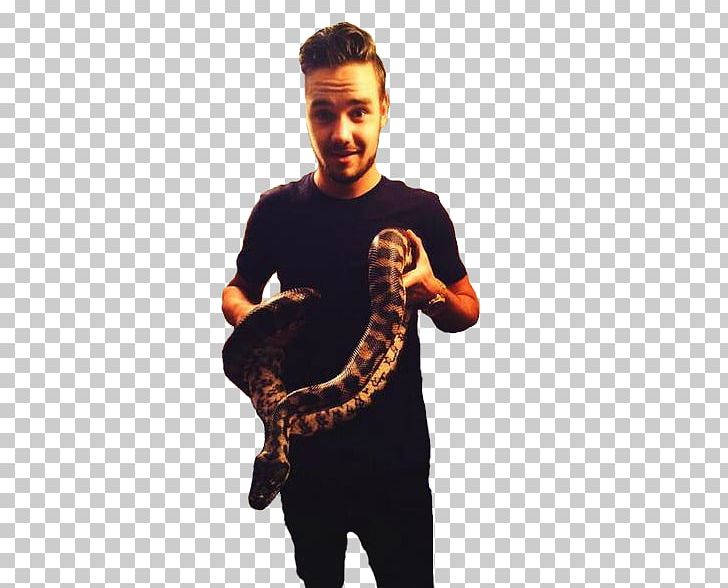 Liam Payne One Direction Cry Me A River Boy Band Him/Herself PNG, Clipart, Arm, Boy Band, Cry Me A River, Facial Hair, Himherself Free PNG Download