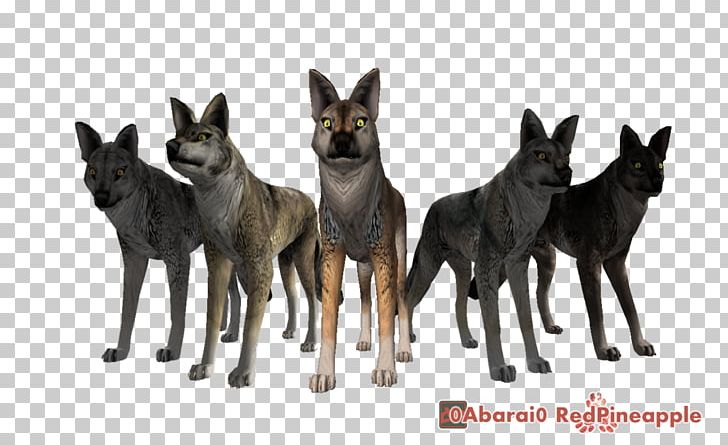 WolfQuest Gray Wolf Video Game World Of Warcraft PNG, Clipart, Adventure Game, Arcade Game, Carnivoran, Cougar, Dog Free PNG Download