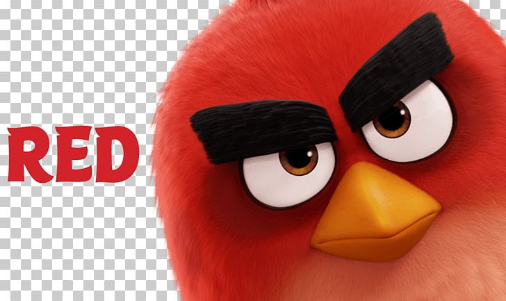 Angry Birds 2 Film Desktop PNG, Clipart, 4k Resolution, Angry Birds, Angry Birds 2, Angry Birds Movie, Animation Free PNG Download