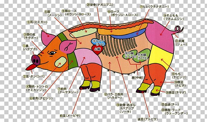Pork Domestic Pig Soki Meat PNG, Clipart, Area, Art, Beef, Cartoon, Cattle Like Mammal Free PNG Download