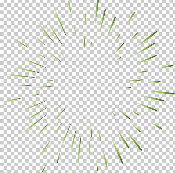 Symmetry Circle Point Pattern PNG, Clipart, Circle, Coming Soon, Education Science, Flower, Grass Free PNG Download
