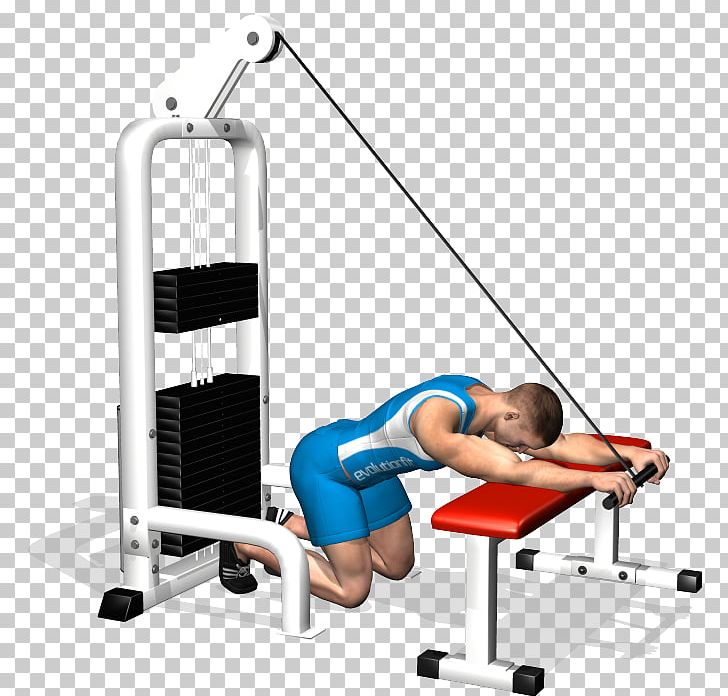 Triceps Brachii Muscle Lying Triceps Extensions Exercise Cable Machine Bench PNG, Clipart, Abdomen, Arm, Bench, Bench Press, Cable Machine Free PNG Download