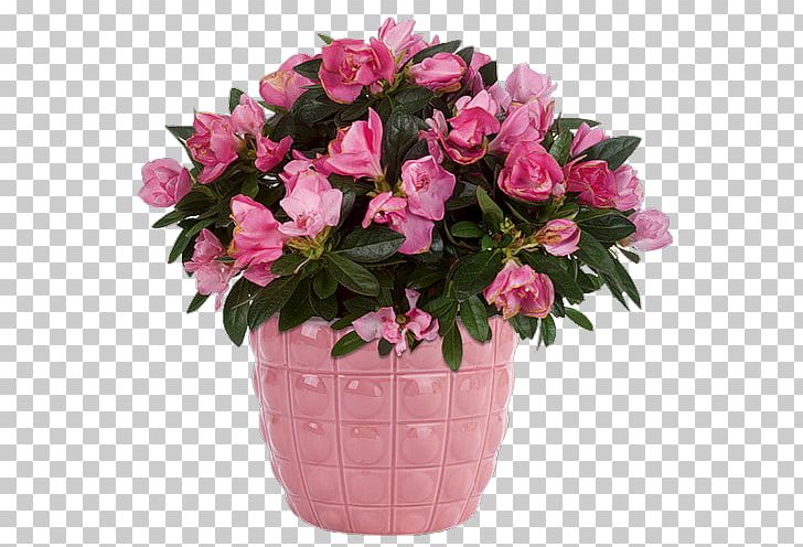 Birthday Flower Delivery Floristry Menifee PNG, Clipart, Anniversary, Annual Plant, Artificial Flower, Azalea, Blue Free PNG Download