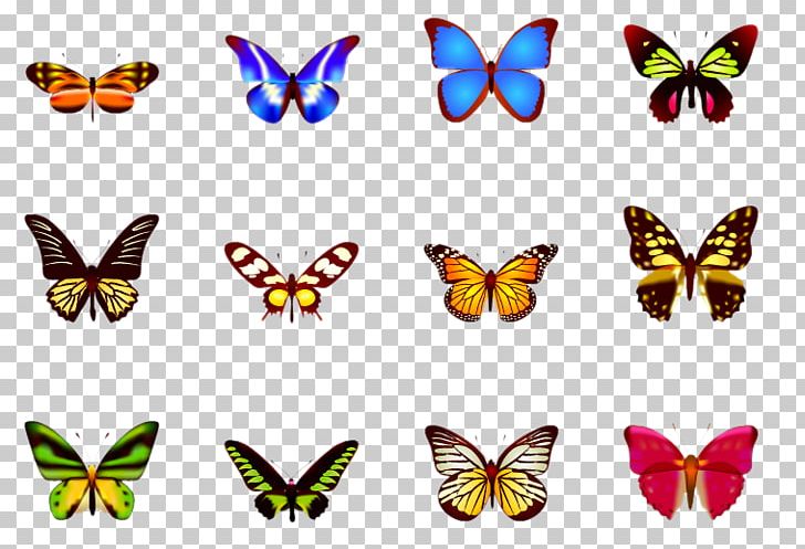 Butterfly ICO PNG, Clipart, Animal, Blue Butterfly, Brush Footed Butterfly, Butterflies, Butterfly Group Free PNG Download