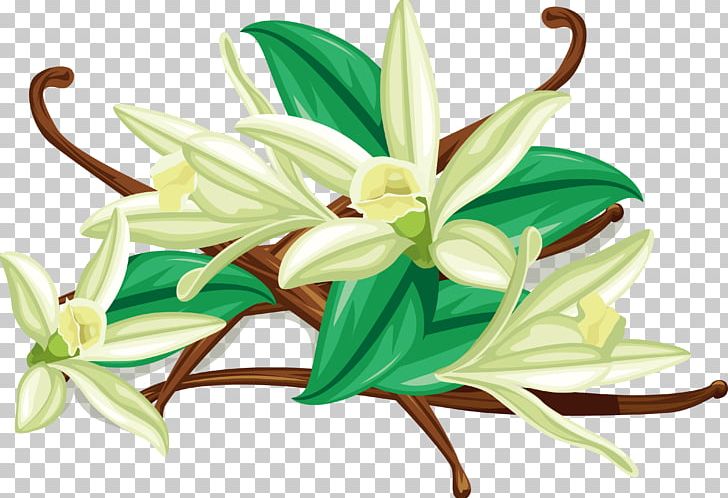 Flat-leaved Vanilla Spice Euclidean PNG, Clipart, Art, Art Design, Flower, Flower Arranging, Flowering Plant Free PNG Download