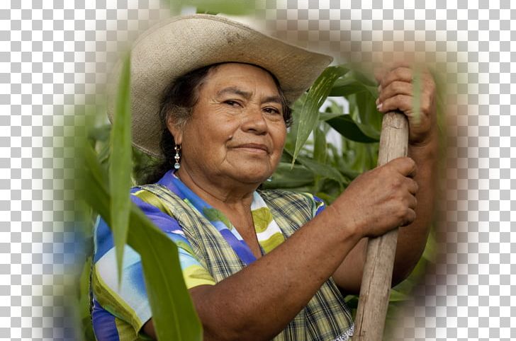 Peasant Agriculture Rural Area Woman Labor PNG, Clipart, Agriculture, Business Model, Coro, Espanol, Family Free PNG Download
