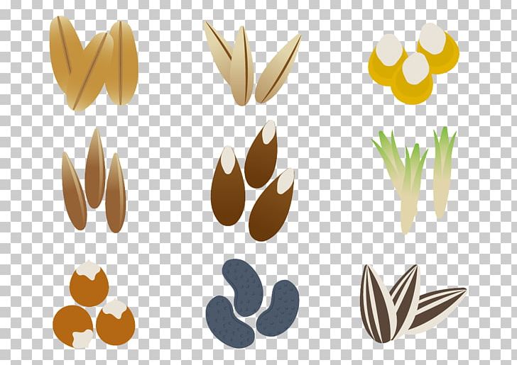 Seeds Sprout! Plant Germination PNG, Clipart, Action Figure, Commodity, Coneflowers, Decorative Figure, Dormancy Free PNG Download