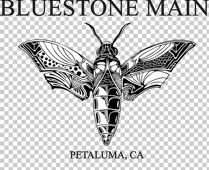 Moth Insect Logo Wing Brand PNG, Clipart, Animals, Arthropod, Black And White, Brand, Butterfly Free PNG Download