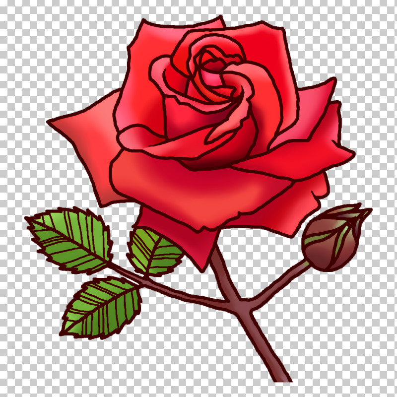 Garden Roses PNG, Clipart, Biology, Cabbage Rose, Cut Flowers, Floral Design, Flower Free PNG Download