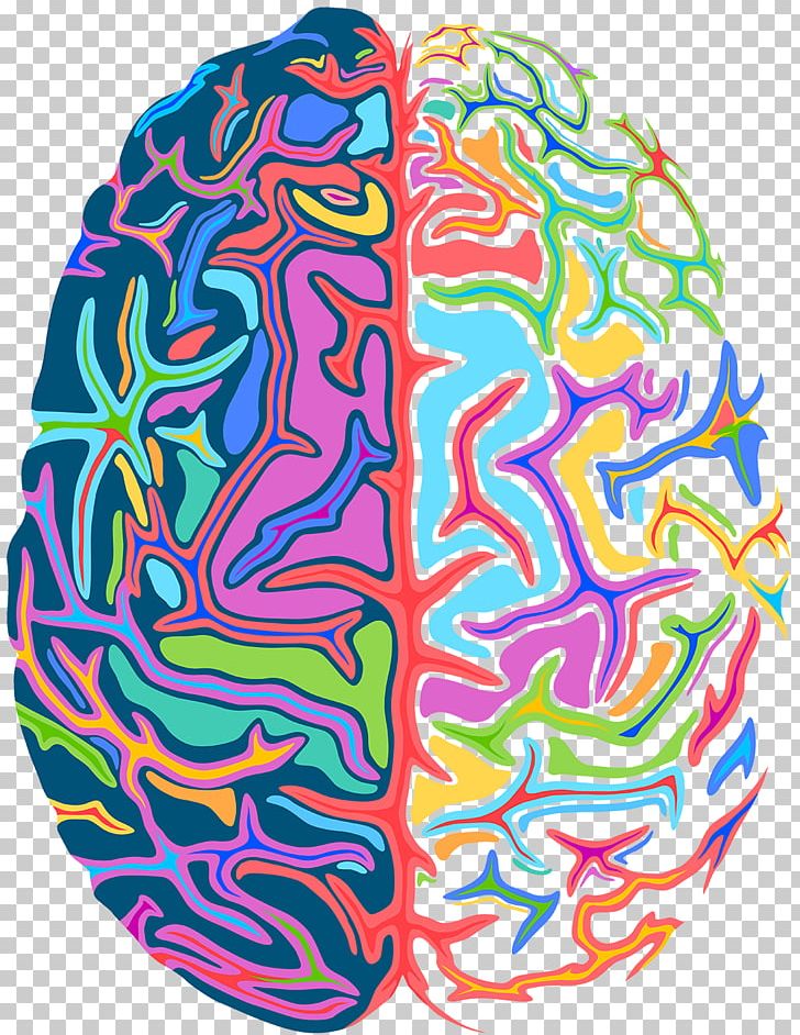 Brain Psychedelia Psychedelic Drug Ross Rogen Wishful Thinking PNG, Clipart, Apple Music, Brain, Footwear, Human Brain, Line Free PNG Download