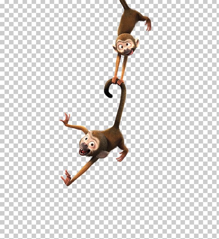 Monkey PNG, Clipart, Animal, Animals, Brown, Carnivoran, Cat Like Mammal Free PNG Download