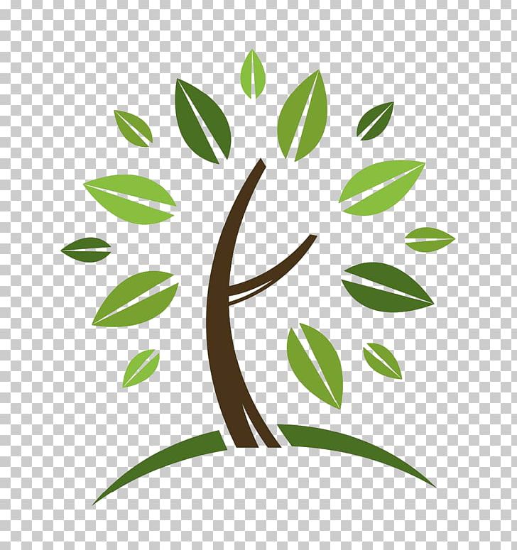 Tree Logo Business PNG, Clipart, Acorn School, Arborist, Branch, Business, Business Cards Free PNG Download