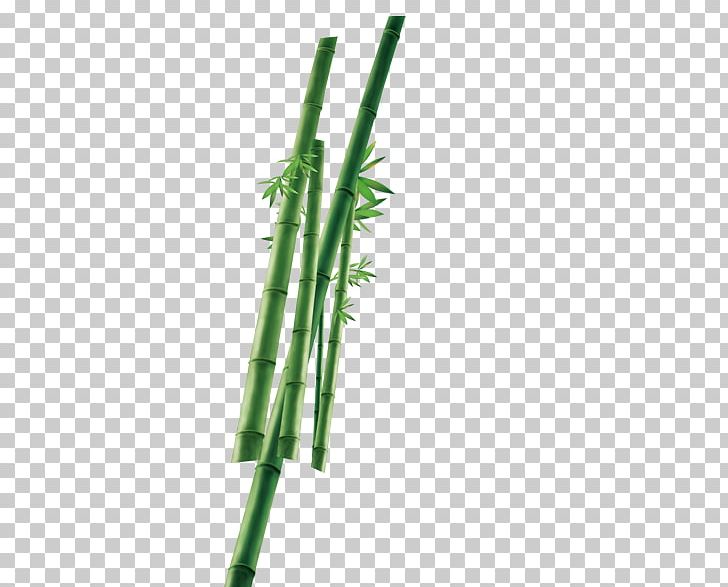 Bamboo Plant Icon PNG, Clipart, Angle, Bamboo, Bamboo Border, Bamboo Frame, Bamboo Leaf Free PNG Download
