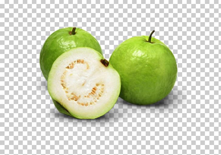 Common Guava Tropical Fruit Juice Vesicles PNG, Clipart, Apple, Banana, B V, Citrus, Common Guava Free PNG Download