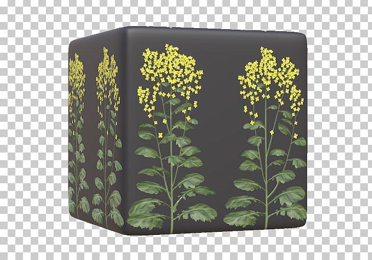 Herb PNG, Clipart, Canola Flower, Grass, Herb, Others, Plant Free PNG Download