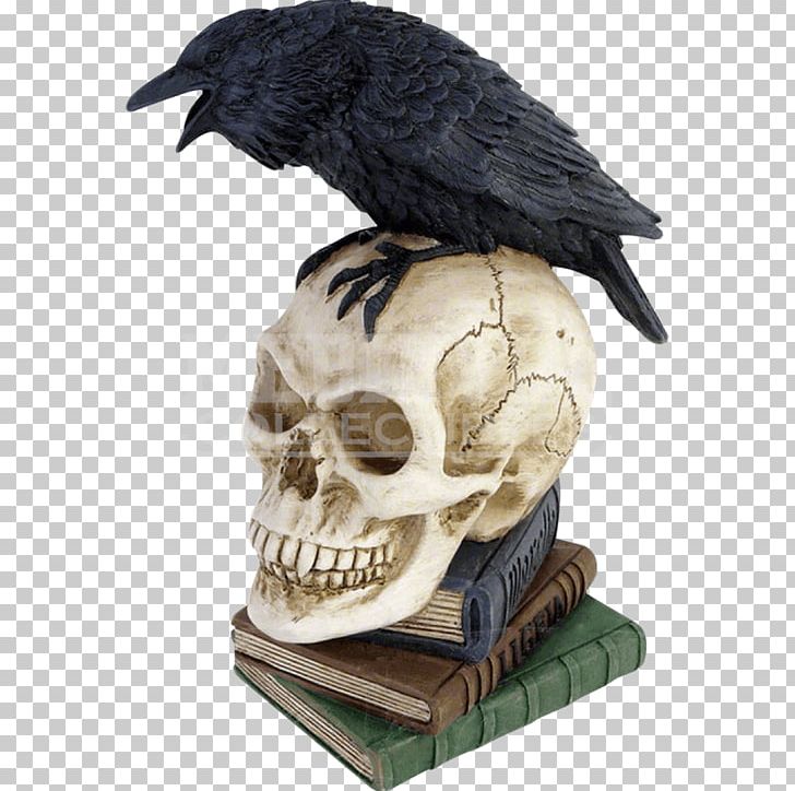The Raven Skull Poetry Common Raven Bone PNG, Clipart, Alchemy, Bone, Book, Cerebrum, Common Raven Free PNG Download