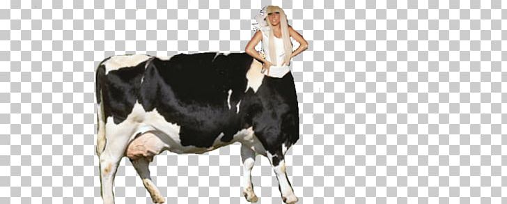 Dairy Cattle Taurine Cattle Milkmaid Race PNG, Clipart, Cattle, Cattle Like Mammal, Cow Goat Family, Dairy, Dairy Cattle Free PNG Download