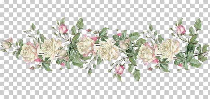 Paper Rose Flower Pink PNG, Clipart, Antique, Blume, Border, Branch, Christie Repasy Free PNG Download