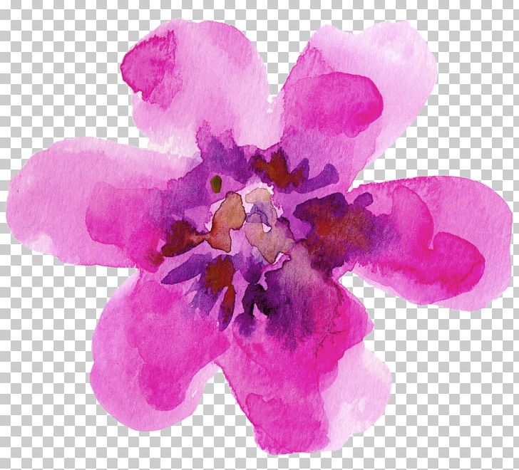 Watercolour Flowers Paper Watercolor Painting PNG, Clipart, Creative Market, Flower, Flowering Plant, Gouache, Herbaceous Plant Free PNG Download