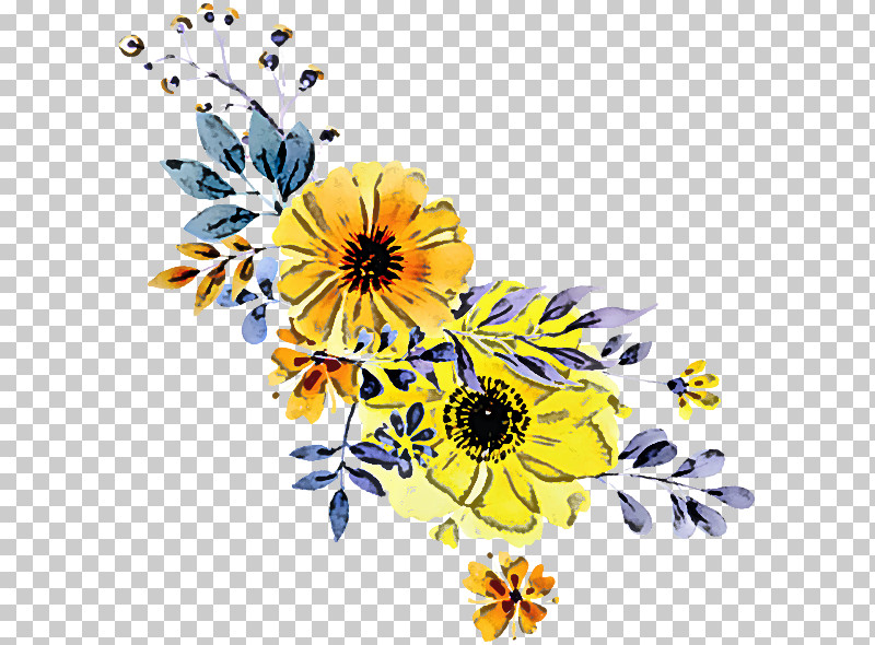 Sunflower PNG, Clipart, Chamomile, Cut Flowers, Daisy, Flower, Petal Free PNG Download
