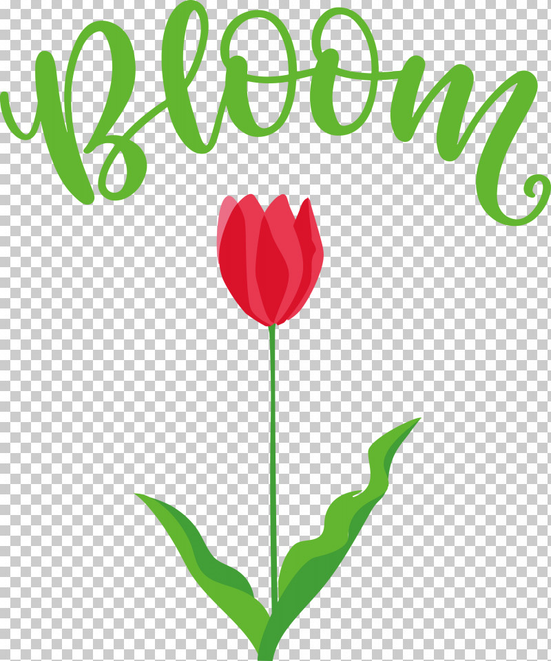 Bloom Spring Flower PNG, Clipart, Bloom, Cut Flowers, Flora, Floristry, Flower Free PNG Download