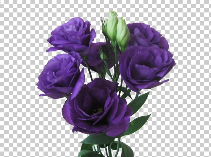 Garden Roses Cut Flowers Prairie Gentian Flower Bouquet PNG, Clipart, Anemone, Art, Artificial Flower, Cut Flowers, Deviantart Free PNG Download