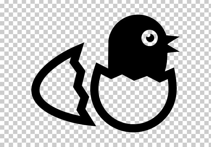 Bird Egg Bird Egg Computer Icons PNG, Clipart, Animals, Artwork, Beak, Bird, Bird Egg Free PNG Download