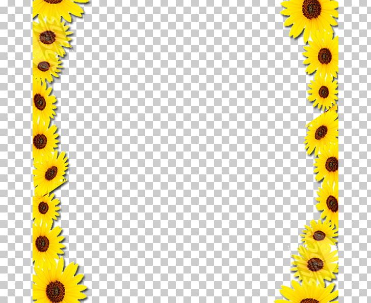 Common Sunflower Borders And Frames Frames PNG, Clipart, Border, Borders, Borders And Frames, Clip Art, Common Sunflower Free PNG Download