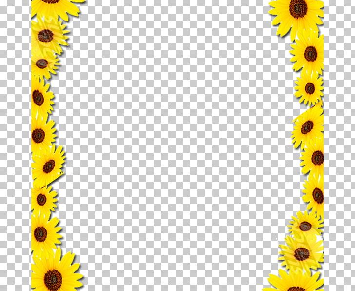 Free Free 158 Sunflower Border Clipart Free SVG PNG EPS DXF File