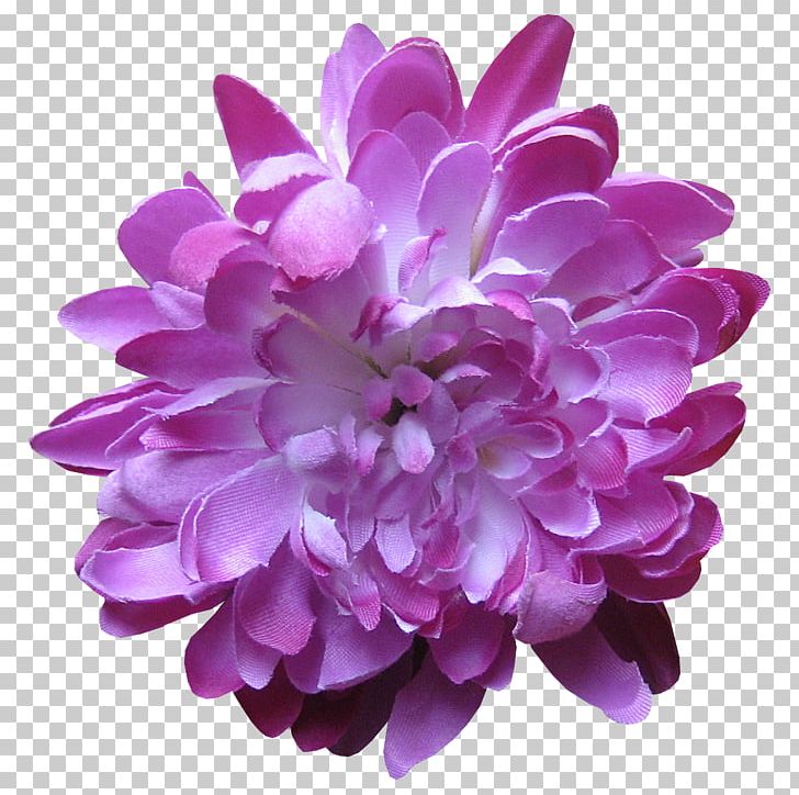 Lavender Flower Lilac Violet Purple PNG, Clipart, Chrysanthemum, Chrysanths, Cut Flowers, Dahlia, Flower Free PNG Download