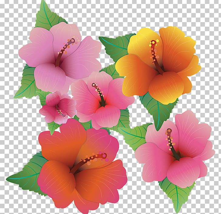 hawaiian hibiscus flower png clipart art common daisy computer icons download drawing free png download imgbin com