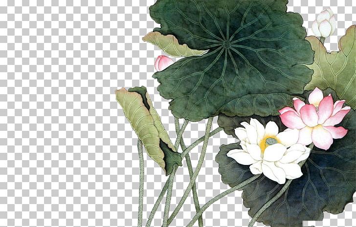 Vietnam Painting Nelumbo Nucifera PNG, Clipart, Art, Autumn Leaf, Drawing, Drawing Room, Flora Free PNG Download