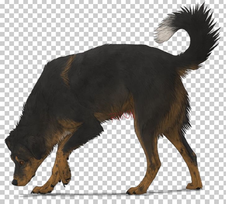 Basset Hound Hyena Pet Canidae Dog Breed PNG, Clipart, Animal, Animals, Bark, Basset Hound, Breed Group Dog Free PNG Download