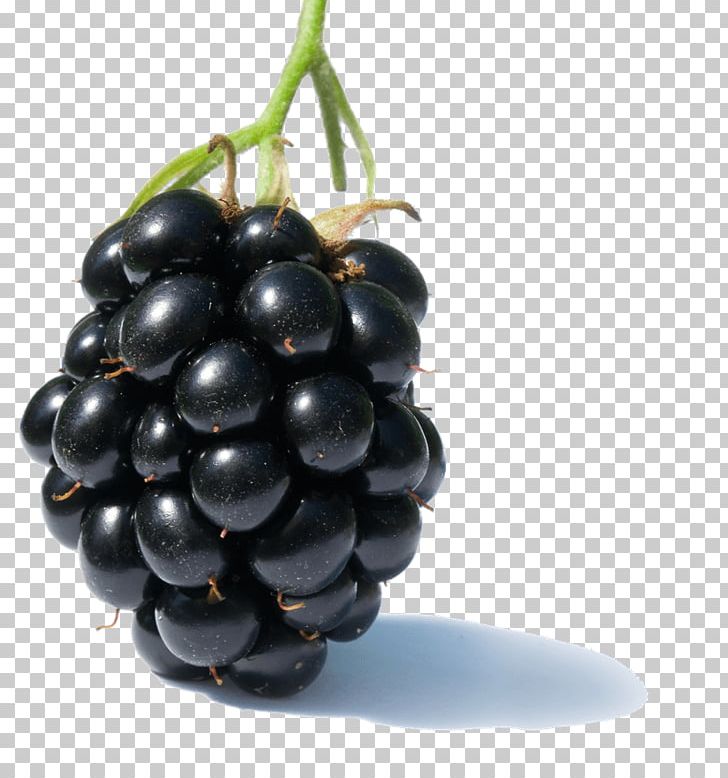 Blackberry Raspberry Food Marionberry PNG, Clipart, Bali, Berry, Blackberry, Blackberry Fruit, Blueberry Free PNG Download