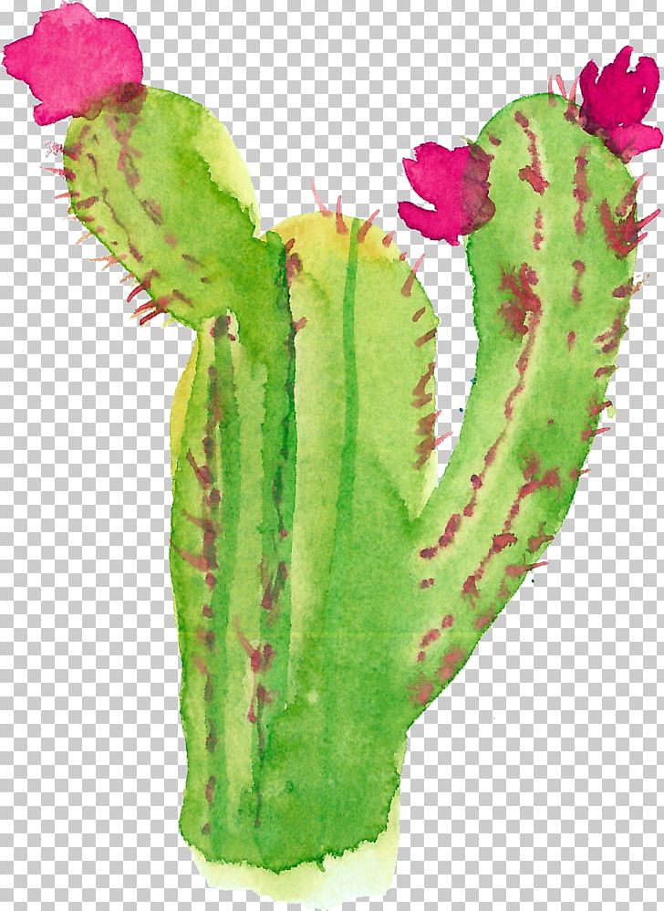 Modern Watercolor: A Playful And Contemporary Exploration Of Watercolor Painting Succulent Plant PNG, Clipart, Cactaceae, Cactus, Cactus Cartoon, Cactus Flower, Cactus Vector Free PNG Download