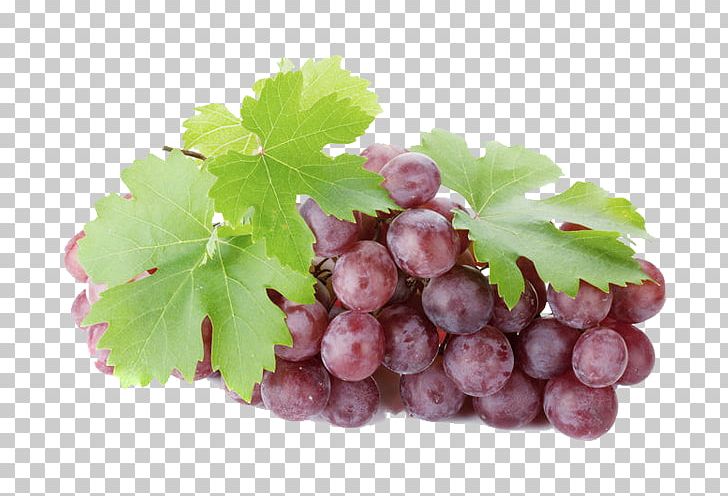 Sultana Grüner Veltliner Wine Grape Seedless Fruit PNG, Clipart, Achillea Millefolium, Common Grape Vine, Food, Fruit, Grape Free PNG Download