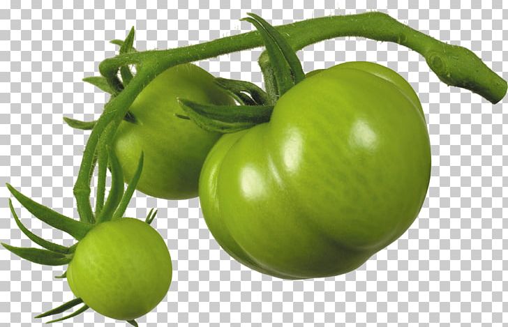 Tomato Juice Cherry Tomato Fried Green Tomatoes Italian Tomato Pie Tomatillo PNG, Clipart, Desktop Wallpaper, Food, Free, Fried Green Tomatoes, Fruit Free PNG Download