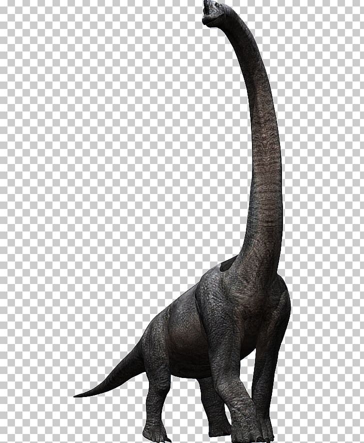 Tyrannosaurus Brachiosaurus Velociraptor Triceratops Jurassic Park PNG, Clipart, Animal Figure, Black And White, Brachiosaurus, Cretaceous, Dinosaur Free PNG Download