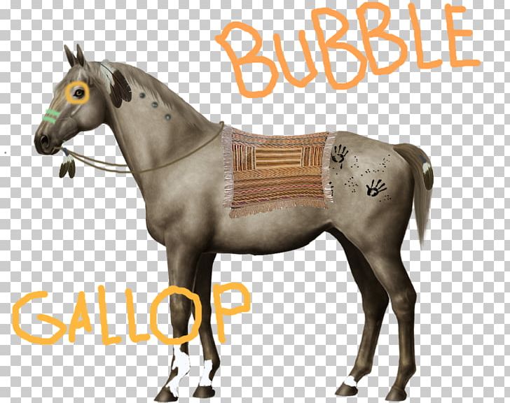 Appaloosa American Quarter Horse Thoroughbred Austrian Warmblood Stallion PNG, Clipart, Appaloosa, Australian Stock Horse, Bridle, Colt, Filly Free PNG Download