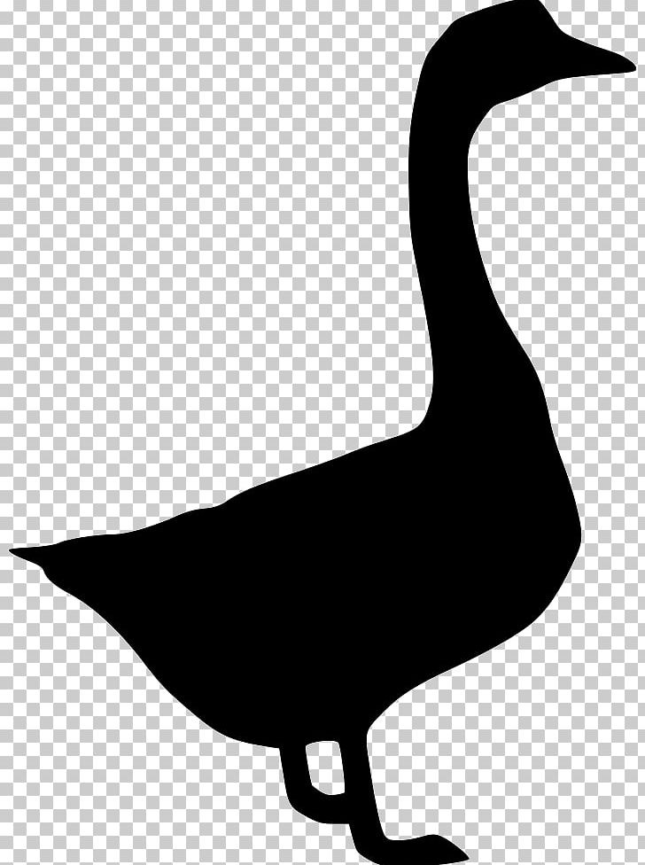Duck Goose Fowl Feather Black And White PNG, Clipart, Animals, Anser, Beak, Bird, Black And White Free PNG Download