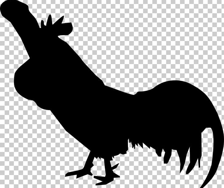 Rooster Cock A Doodle Doo Leghorn Chicken Ayam Cemani Long-crowing Chicken PNG, Clipart, Ayam Cemani, Beak, Bird, Black And White, Chicken Free PNG Download
