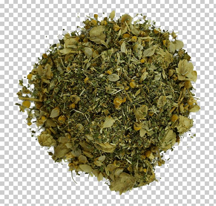 Tea Sencha Bancha Herb Holy Basil PNG, Clipart, Bancha, Basil, Danish Consumer Council, Flavor, Food Free PNG Download