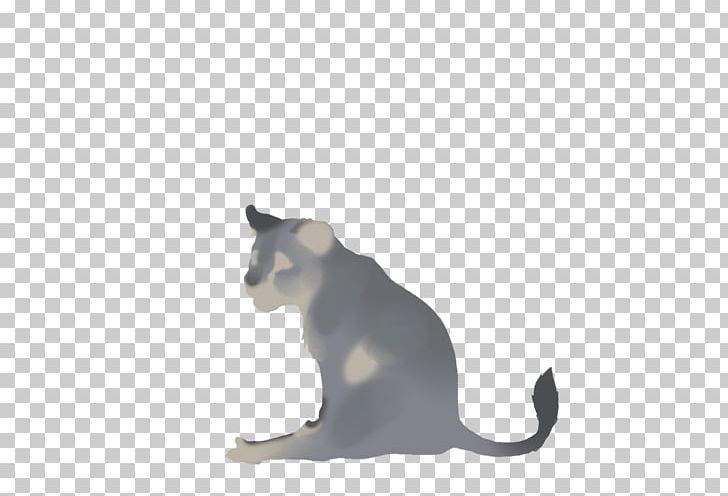 Whiskers Korat Domestic Short-haired Cat Paw Tail PNG, Clipart, Carnivoran, Cat, Cat Like Mammal, Domestic Short Haired Cat, Domestic Shorthaired Cat Free PNG Download